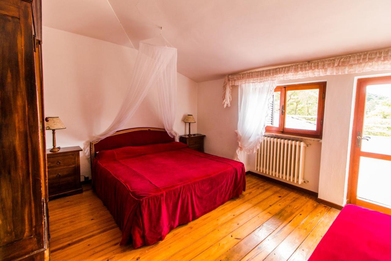 Oasis Aparthotel 4*