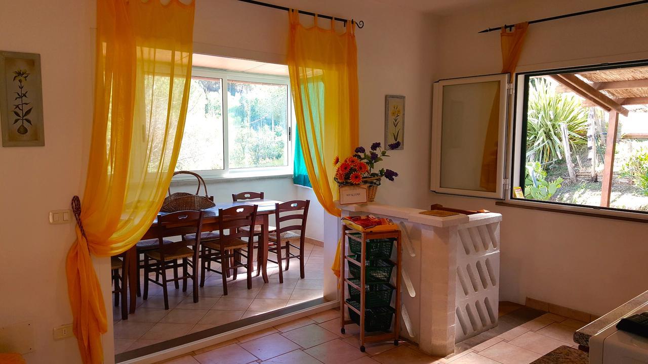 Oasis Aparthotel 4*