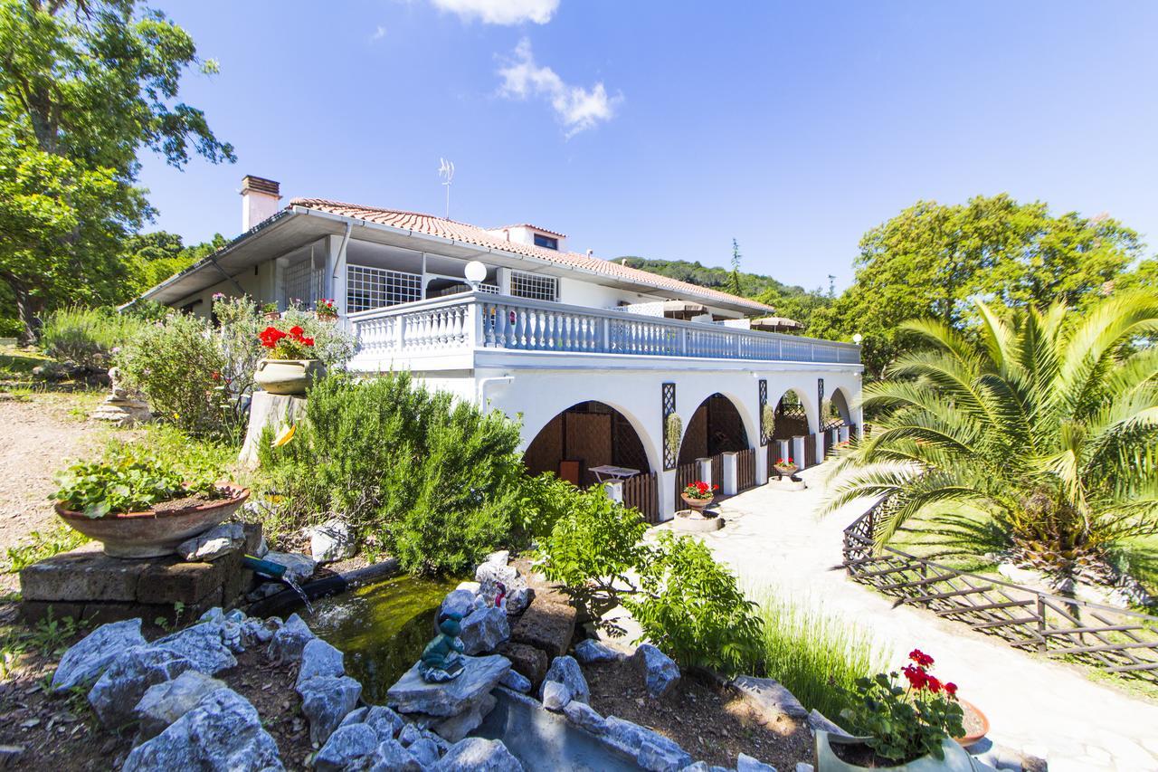 Oasis 4*