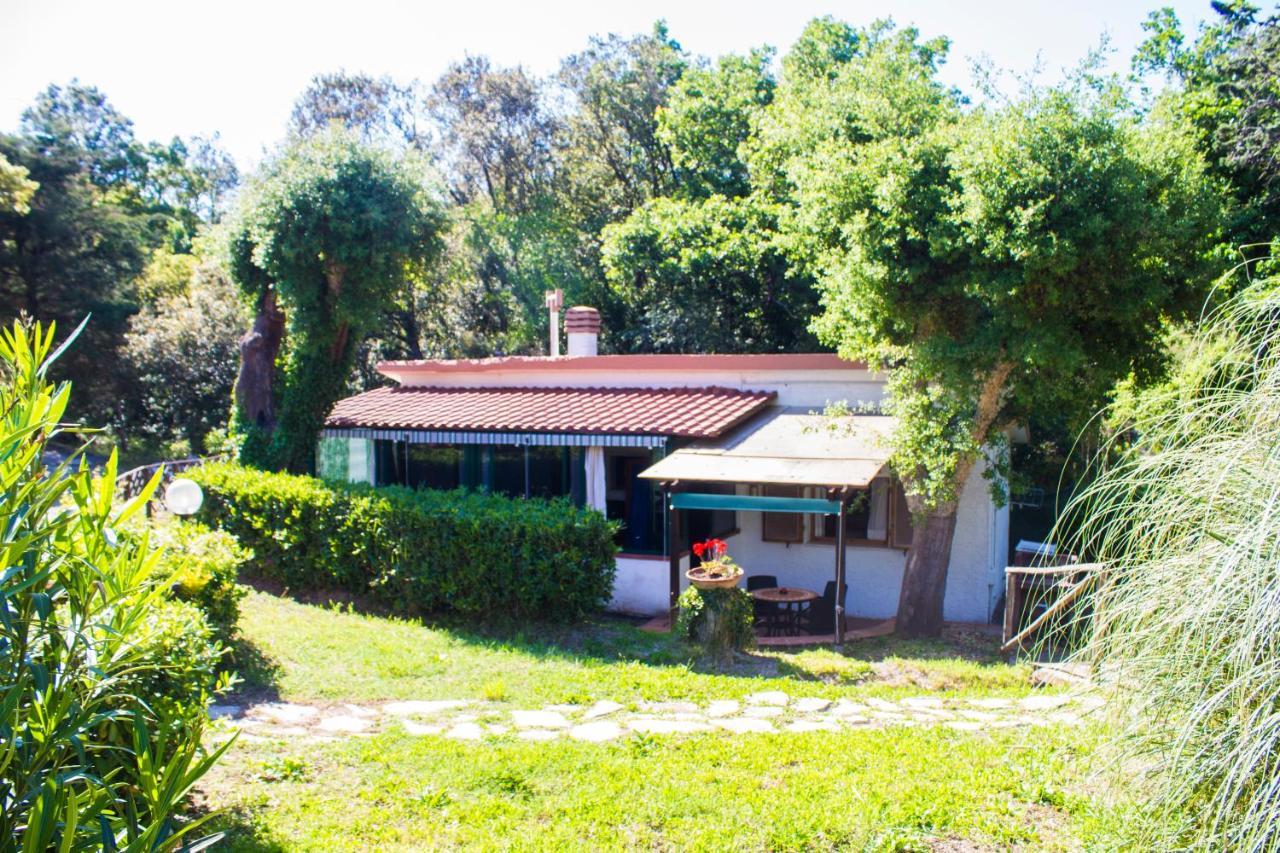 Oasis 4* Campiglia Marittima