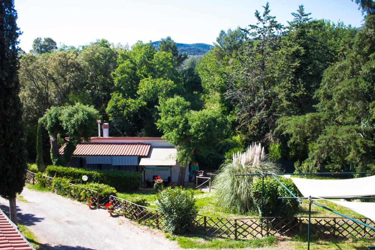 Appart hôtel Oasis