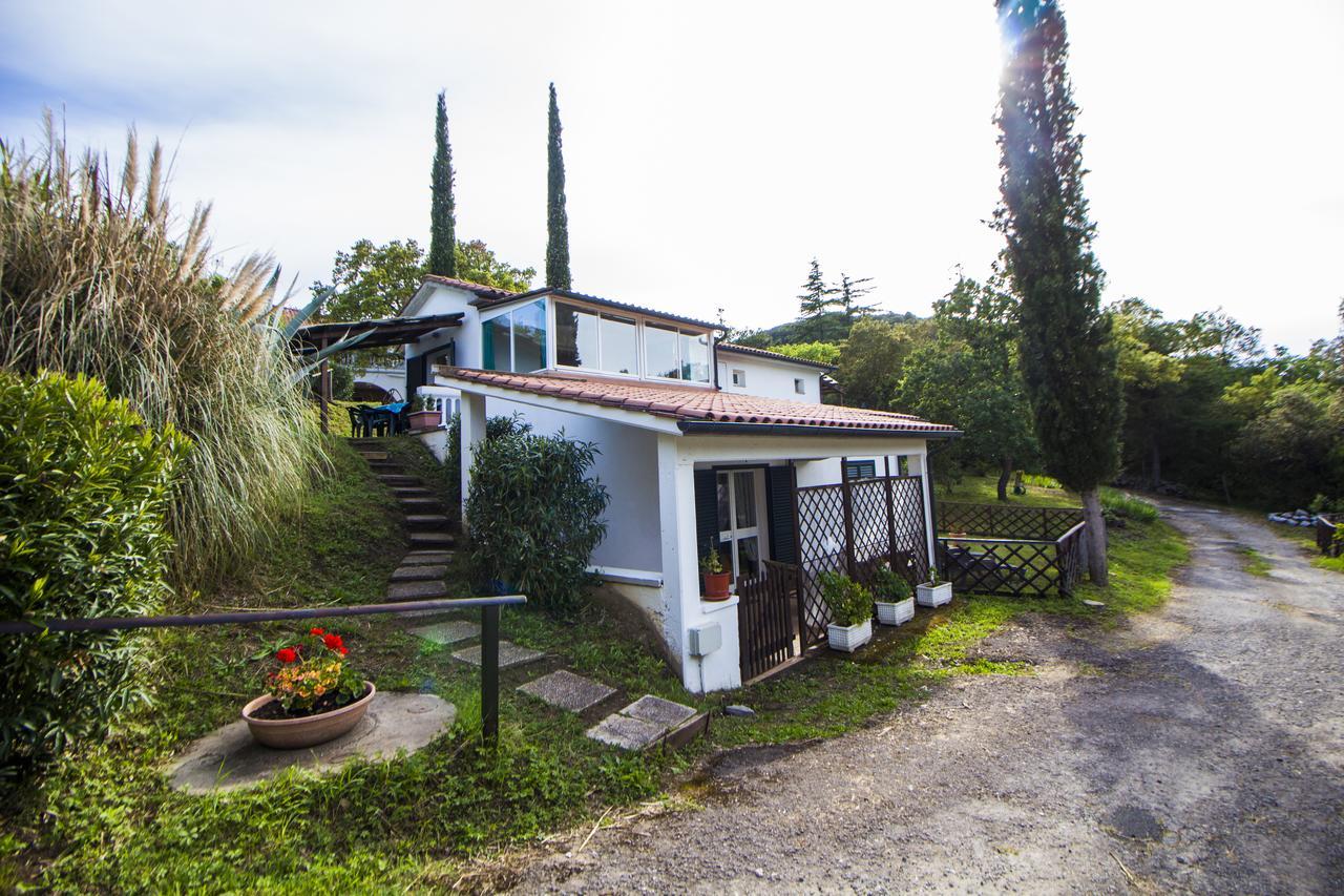 Oasis Aparthotel 4*