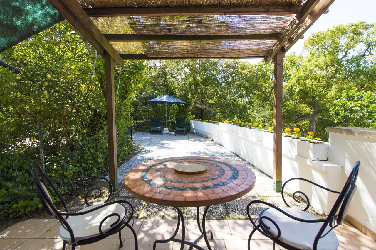 Oasis Appart hôtel Campiglia Marittima
